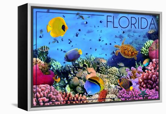 Florida - Underwater Coral-Lantern Press-Framed Stretched Canvas