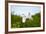 Florida, Venice, Audubon Sanctuary, Common Egret Flying-Bernard Friel-Framed Photographic Print