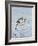 Florida, Venice, Snowy Egret Flying-Bernard Friel-Framed Photographic Print