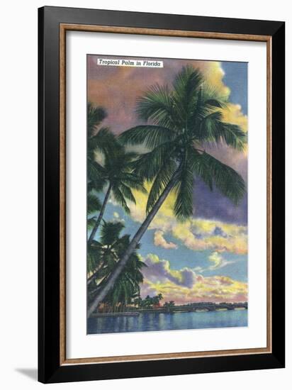 Florida - View of a Palm During Sunset-Lantern Press-Framed Art Print