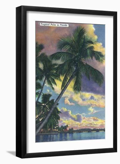 Florida - View of a Palm During Sunset-Lantern Press-Framed Art Print