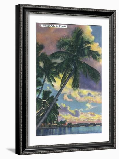 Florida - View of a Palm During Sunset-Lantern Press-Framed Art Print