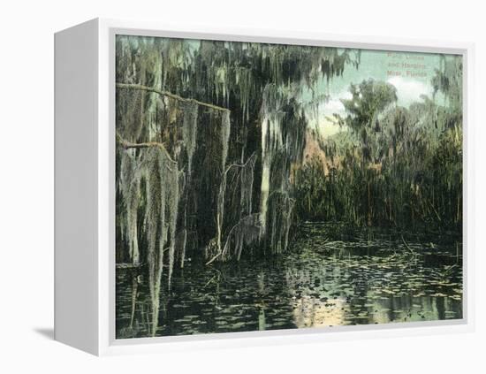 Florida - View of Pond Lilies and Hanging Moss-Lantern Press-Framed Stretched Canvas