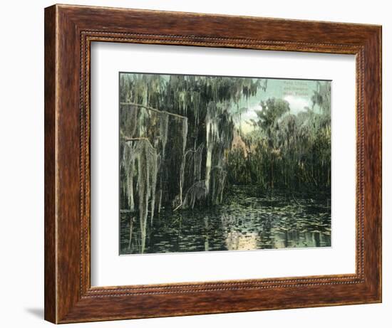 Florida - View of Pond Lilies and Hanging Moss-Lantern Press-Framed Art Print