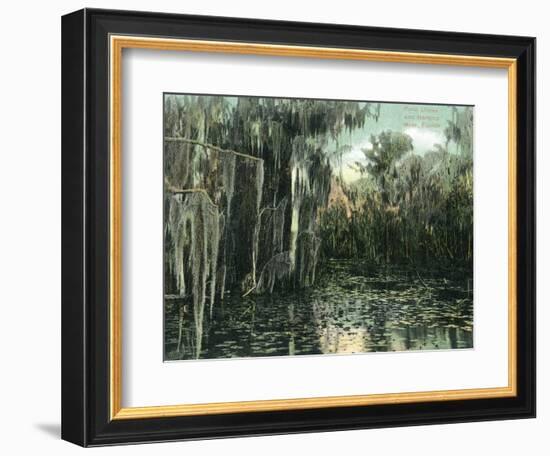 Florida - View of Pond Lilies and Hanging Moss-Lantern Press-Framed Art Print