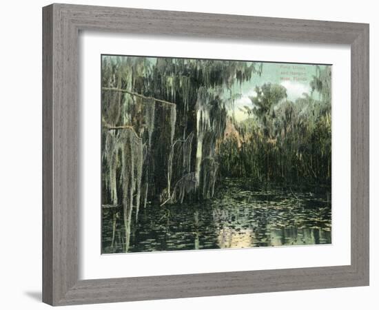 Florida - View of Pond Lilies and Hanging Moss-Lantern Press-Framed Art Print