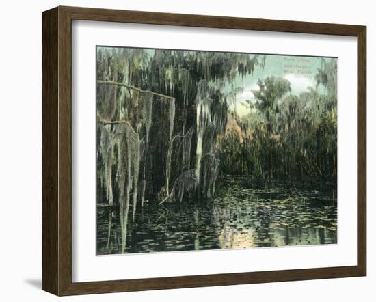 Florida - View of Pond Lilies and Hanging Moss-Lantern Press-Framed Art Print