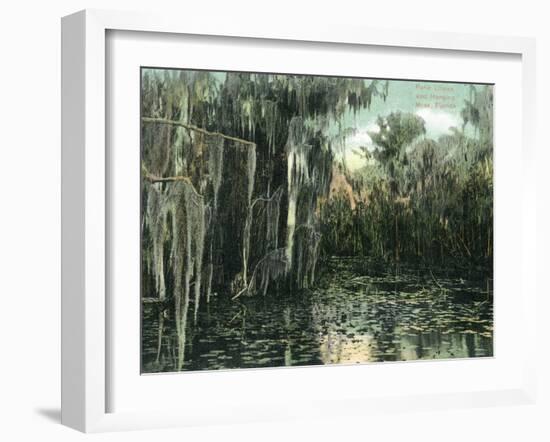 Florida - View of Pond Lilies and Hanging Moss-Lantern Press-Framed Art Print