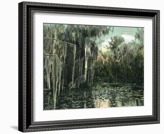 Florida - View of Pond Lilies and Hanging Moss-Lantern Press-Framed Art Print