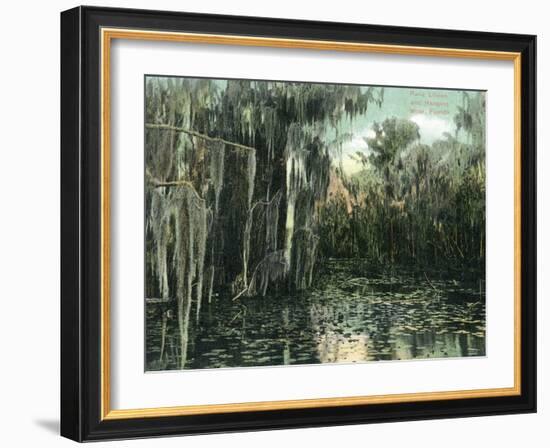 Florida - View of Pond Lilies and Hanging Moss-Lantern Press-Framed Art Print