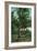 Florida - View of Royal Palms-Lantern Press-Framed Art Print