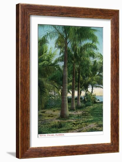 Florida - View of Royal Palms-Lantern Press-Framed Art Print