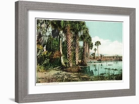 Florida - View of Swamps and Palms-Lantern Press-Framed Art Print