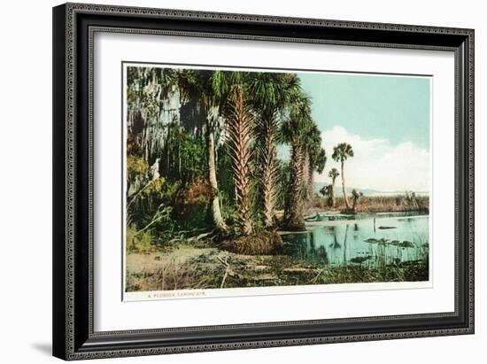 Florida - View of Swamps and Palms-Lantern Press-Framed Art Print