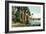 Florida - View of Swamps and Palms-Lantern Press-Framed Art Print