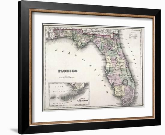 Florida-null-Framed Giclee Print