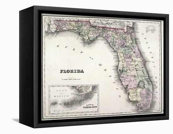 Florida-null-Framed Premier Image Canvas