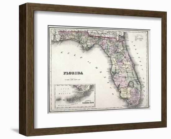 Florida--Framed Giclee Print