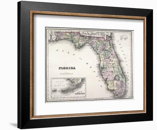 Florida-null-Framed Giclee Print