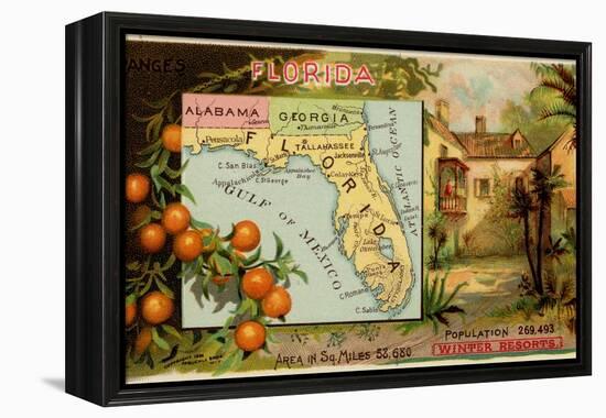 Florida-Arbuckle Brothers-Framed Stretched Canvas