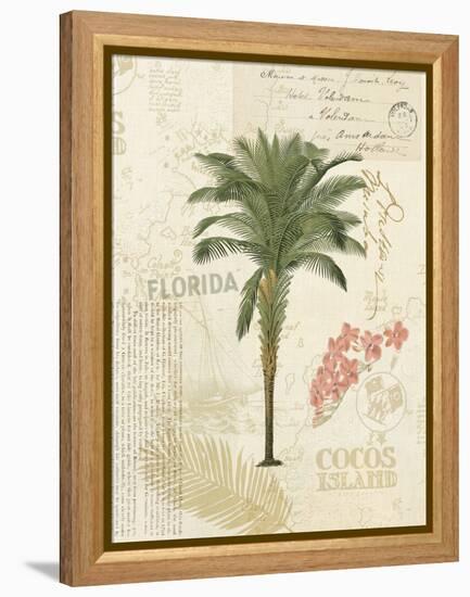 Floridian II-Katie Pertiet-Framed Stretched Canvas