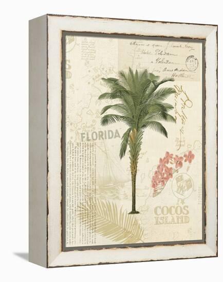 Floridian II-Katie Pertiet-Framed Stretched Canvas