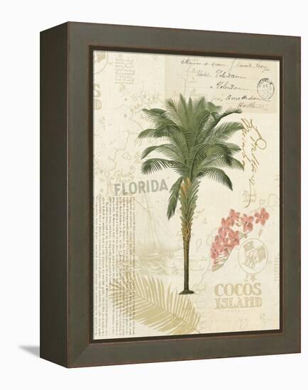 Floridian II-Katie Pertiet-Framed Stretched Canvas