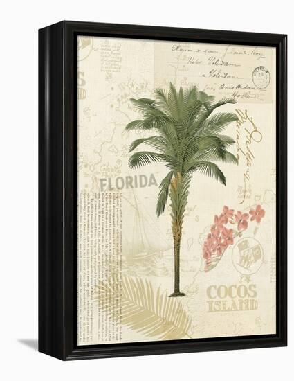 Floridian II-Katie Pertiet-Framed Stretched Canvas