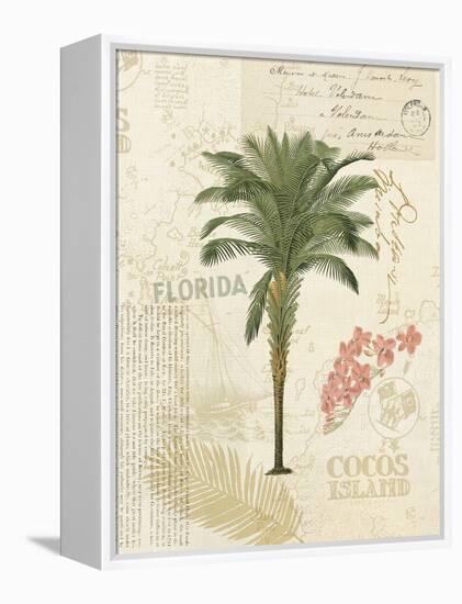 Floridian II-Katie Pertiet-Framed Stretched Canvas