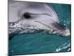 Premium Photographic Print