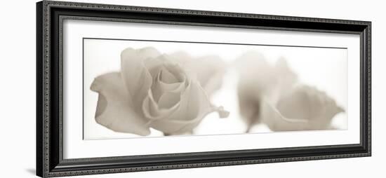 Florison #103-Alan Blaustein-Framed Photographic Print