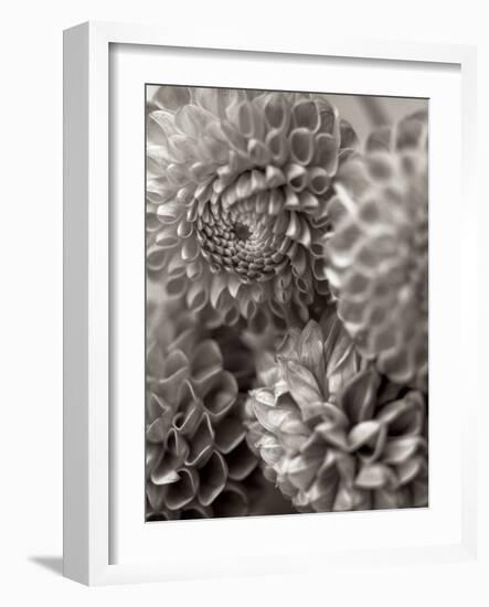 Florison #13-Alan Blaustein-Framed Photographic Print
