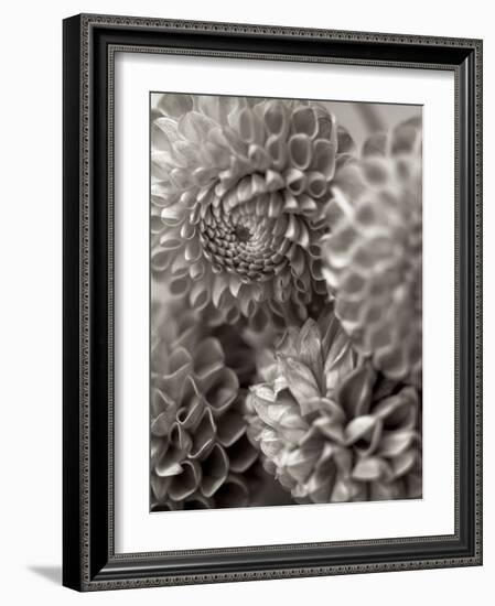 Florison #13-Alan Blaustein-Framed Photographic Print