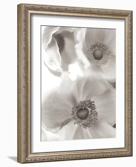 Florison #20-Alan Blaustein-Framed Photographic Print