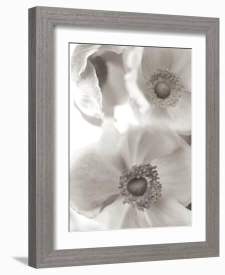 Florison #20-Alan Blaustein-Framed Photographic Print