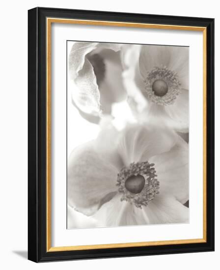 Florison #20-Alan Blaustein-Framed Photographic Print