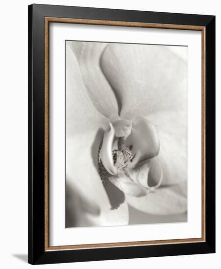 Florison 22-Alan Blaustein-Framed Photographic Print