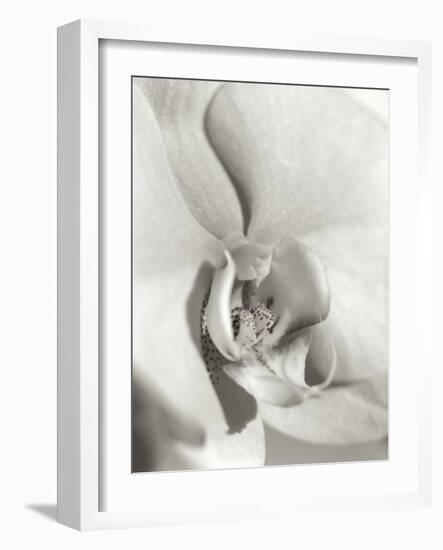 Florison 22-Alan Blaustein-Framed Photographic Print
