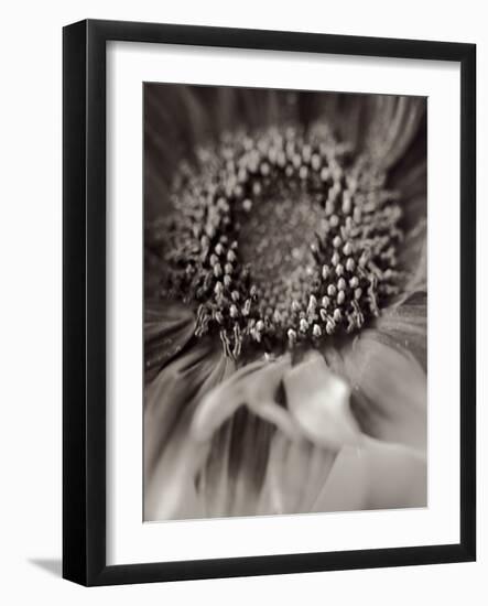 Florison #2-Alan Blaustein-Framed Photographic Print