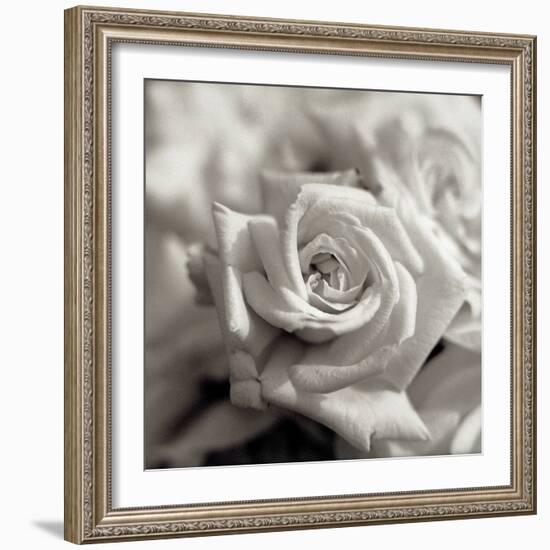 Florison #30-Alan Blaustein-Framed Photographic Print