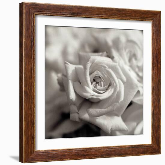 Florison #30-Alan Blaustein-Framed Photographic Print