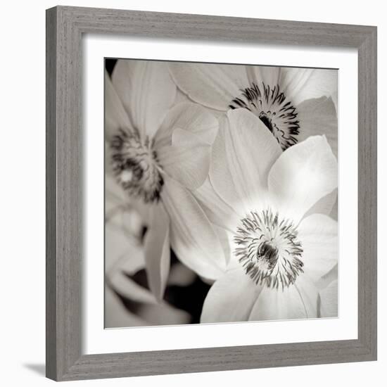 Florison #31-Alan Blaustein-Framed Photographic Print