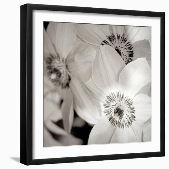 Florison #31-Alan Blaustein-Framed Photographic Print