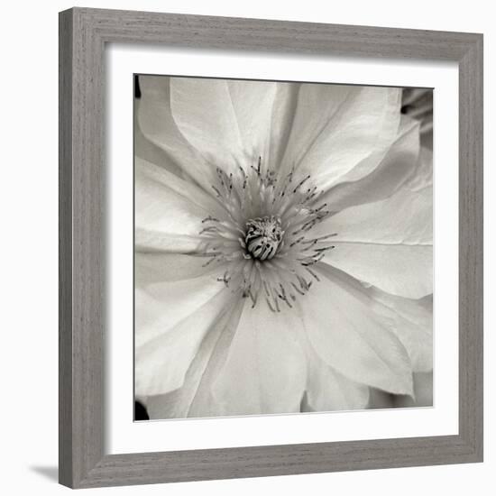 Florison 32-Alan Blaustein-Framed Photographic Print