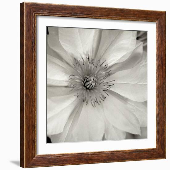 Florison 32-Alan Blaustein-Framed Photographic Print