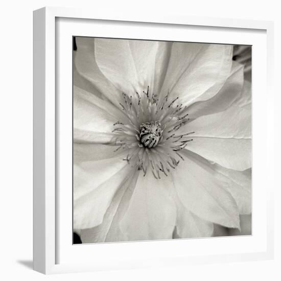 Florison 32-Alan Blaustein-Framed Photographic Print