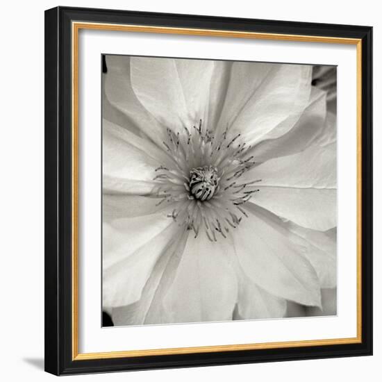 Florison 32-Alan Blaustein-Framed Photographic Print