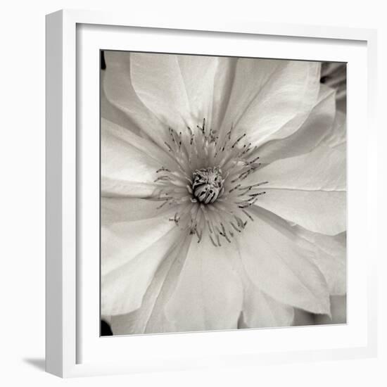 Florison #32-Alan Blaustein-Framed Photographic Print