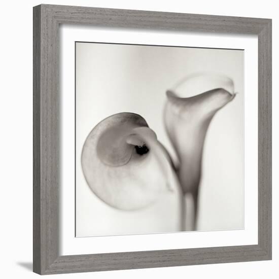 Florison 35-Alan Blaustein-Framed Photographic Print