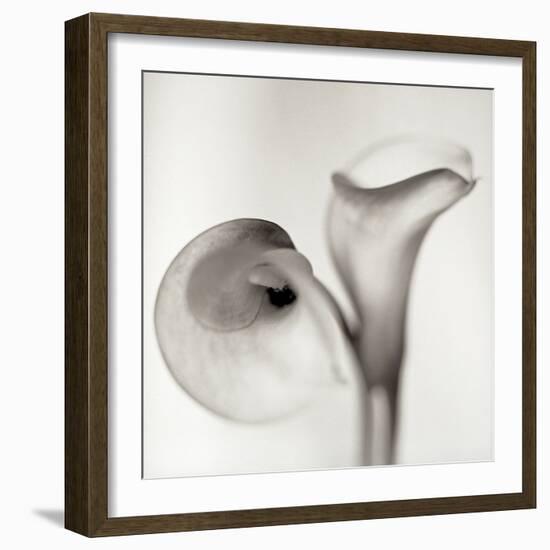 Florison 35-Alan Blaustein-Framed Photographic Print